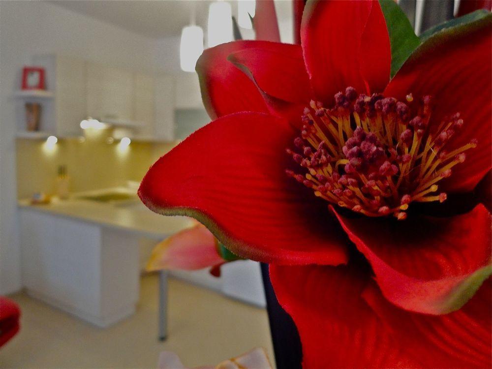 Apartamenty Aparts Łódź Esterno foto